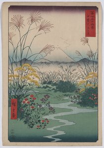 La llanura de Otsuki de Utagawa Hiroshige